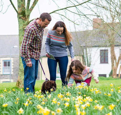 Fun Treasure Hunt in Padstow for Families & Friends