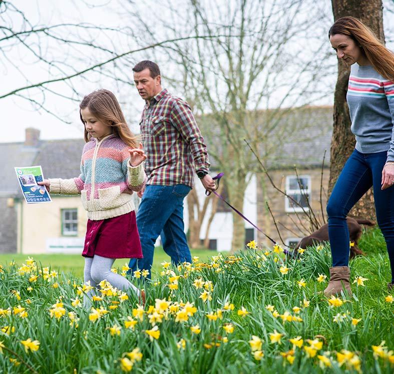 Interactive Treasure Hunt in Ely - Solve Clues