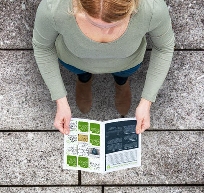 Family Adventure - Treasure Hunt in Whitstable